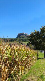 Fotografie de la Franz Albert Jansky de-a lungul turului