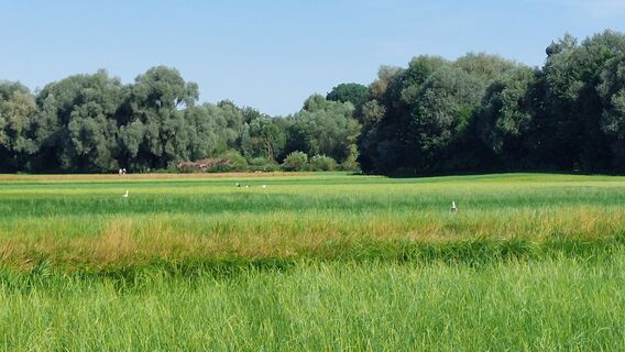 Fotografija s spletne strani Andreas Lang 1 na poti