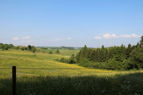 Wiesenlandschaft