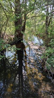 Photo de Supertschänn le long du parcours