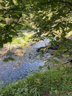 Foto von Momo Frank entlang der Tour