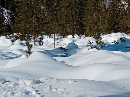 Foto von Wolfgang Mairhofer 2 entlang der Tour