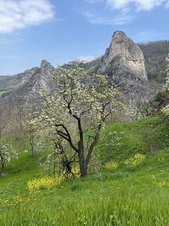 Foto von ugo buriani entlang der Tour