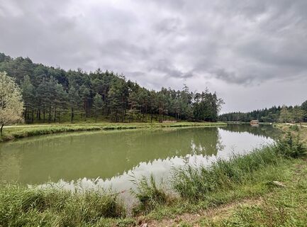 Foto von Irene Duitshof entlang der Tour