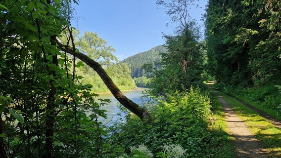 Foto von Erna Linser entlang der Tour