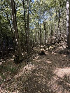 Fotografija s spletne strani Kata Gazso na poti
