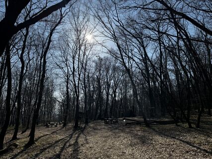 Fotografia z Eszter Csapó na trase
