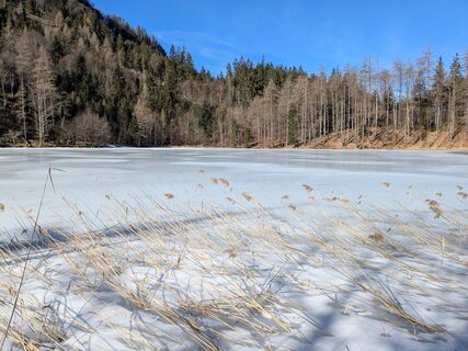 Foto da Andreas Schnur lungo il tour