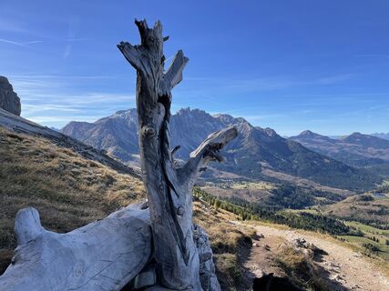 Fotografia z Guglielmo Battocletti na trase