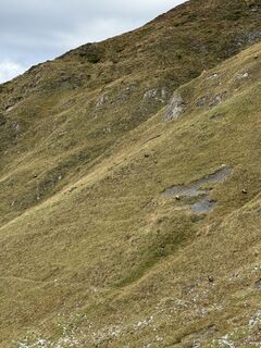 Photo de Philipp Laimgruber le long du parcours