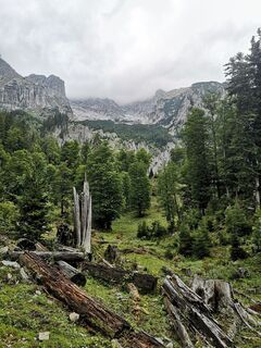 Untere Koderalm