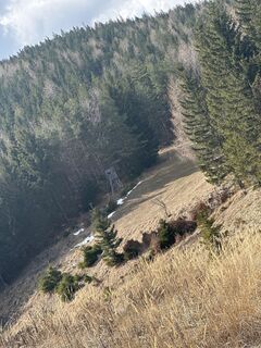 Foto von Kersten Viehmann entlang der Tour