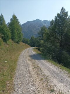 Fotografie z Car Lotta na trase