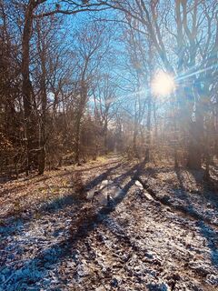 Foto von Jens Baumann 1 entlang der Tour