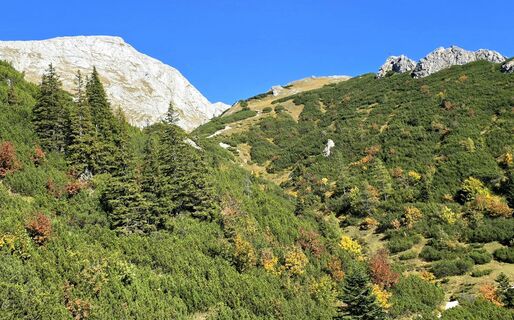 Photo de Veronika Strauss le long du parcours