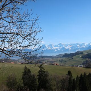 Aussicht bei Huberhölzli - Alte Jakobswegroute