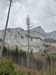 Photo de Alexander Nolz le long du parcours