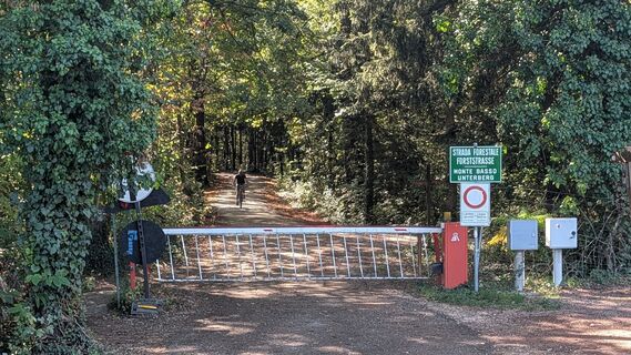 Photo de Simon Hauck le long du parcours