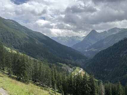 Foto von Grizzli entlang der Tour