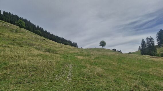 Foto von Peter Schuler entlang der Tour