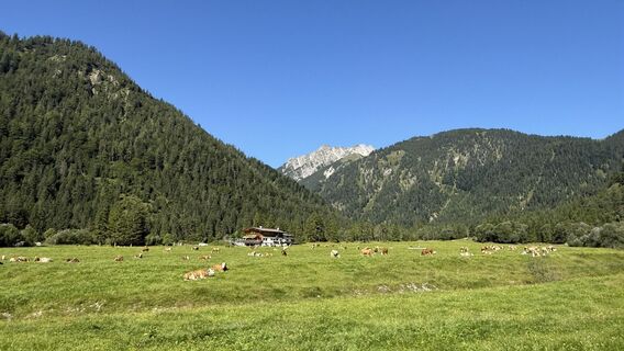 Foto de Slavko Bevanda a lo largo del recorrido