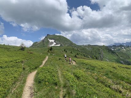 Fotó a Koen De Wit honlapról a túra során