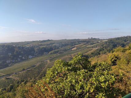 Foto von Poschacher entlang der Tour