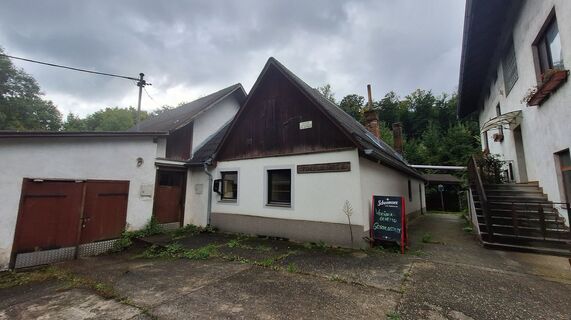 Fotografia z Regina Fleischmann na trase