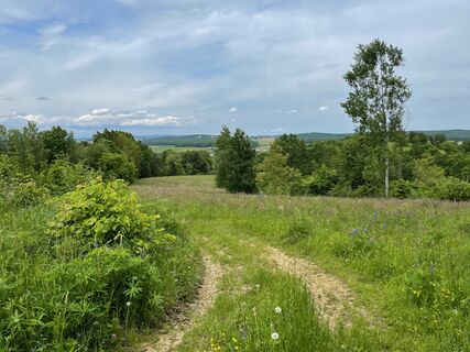 Am Weg zum Kogl