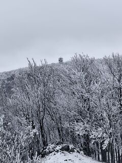 Foto von Bandyka79 entlang der Tour