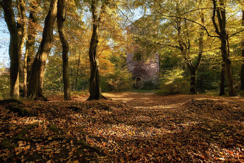 Ruine Bramburg im Naturpark Münden, bei Hemeln