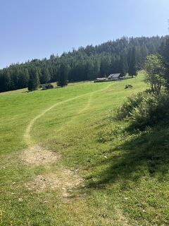 Fotografia z Johann Holzinger na trase