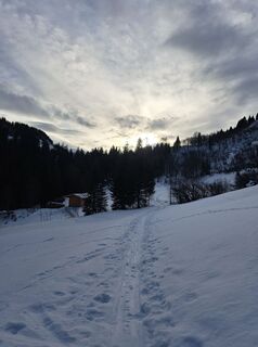 Fotografija s spletne strani Michael Rohrmoser na poti