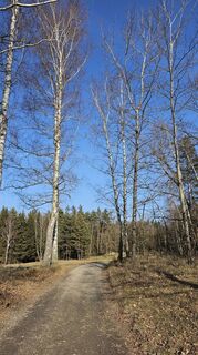 Foto de Andrea 36 a lo largo del recorrido