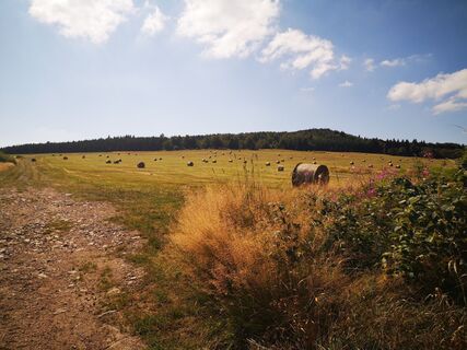 Foto von Denis Trapp 1 entlang der Tour
