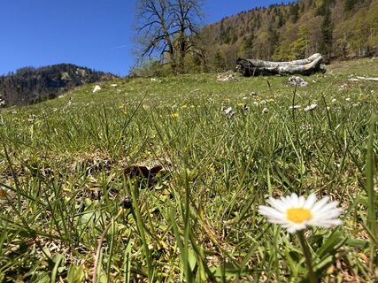 Foto von Natur_erleben_dg entlang der Tour
