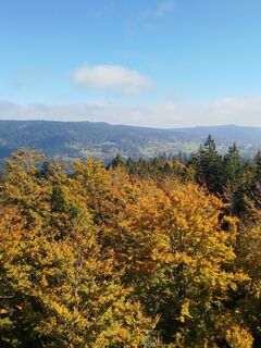 Foto fra Albert Seitz undervejs på turen