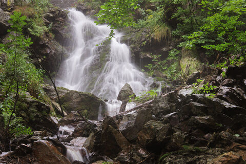 Zemljevid