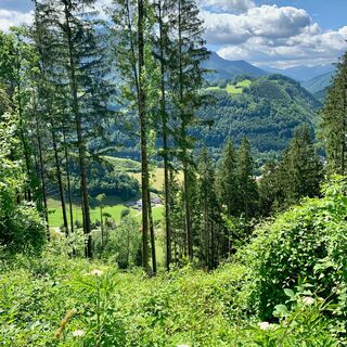 natur.BANK.wege | Weyer | Rotmäuer | 333504