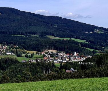 Fotografie z zirberl na trase