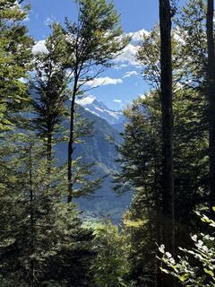 Fotografija s spletne strani Kurt Von  Kurt na poti