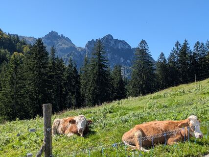 Zdjęcie z Marco Weiß wzdłuż trasy