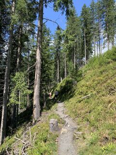 Photo de Koen De Wit le long du parcours