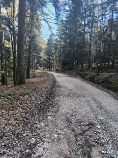 Foto von Katja Klemenčič entlang der Tour