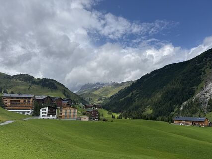 Foto von Grizzli entlang der Tour