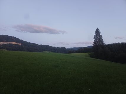 Foto von Skip entlang der Tour