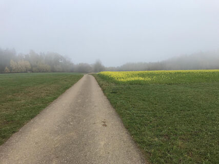 Über den mittleren Weg geht es Richtung Heiligen Bruck