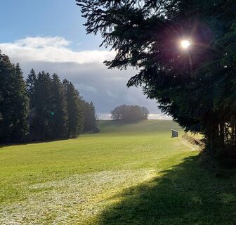 Von der Petershöhe geht es in den Wald