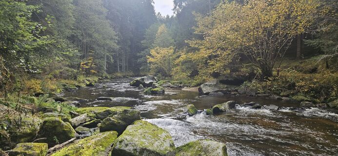 Fotografia z Berni_S na trase