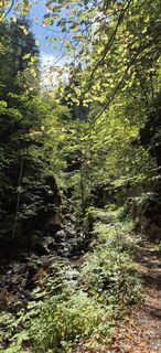 Фото с сайта Mandor60 во время экскурсии